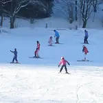 Hausamaarbach 펜션 *