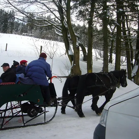 Сasa de vacaciones Hausamaarbach Willingen (Upland)