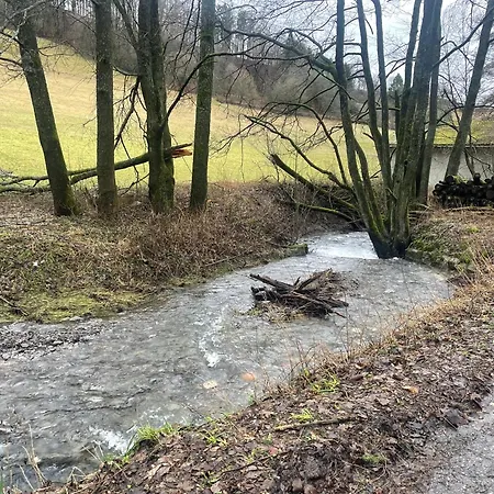 Сasa de vacaciones Hausamaarbach Willingen (Upland)