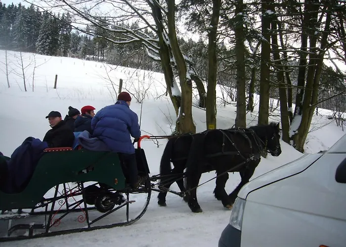 펜션 Hausamaarbach 빌링겐