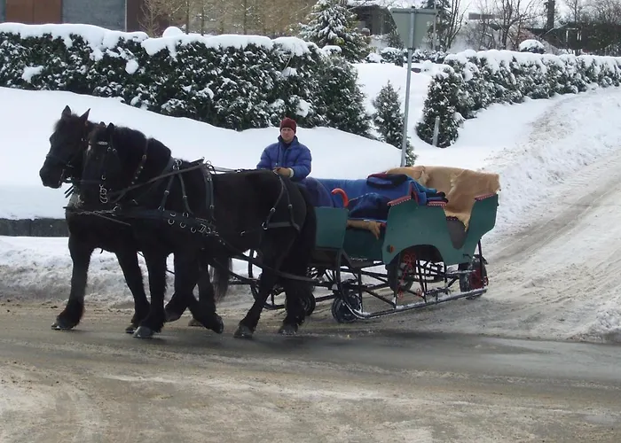 Hausamaarbach 펜션 *