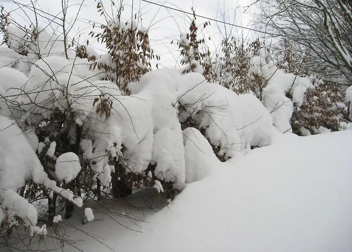 펜션 Hausamaarbach 빌링겐