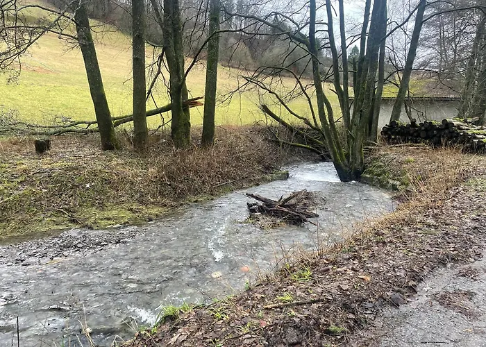 펜션 Hausamaarbach 빌링겐